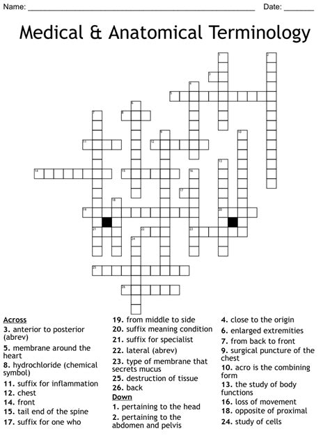 We found 20 possible solutions for this clue. . Anatomical sac crossword